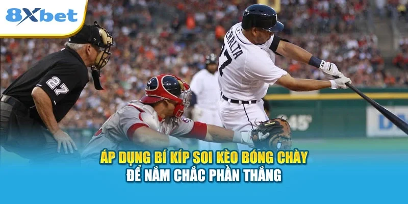 Áp dụng bí kíp soi kèo bóng chày để nắm chắc phần thắng